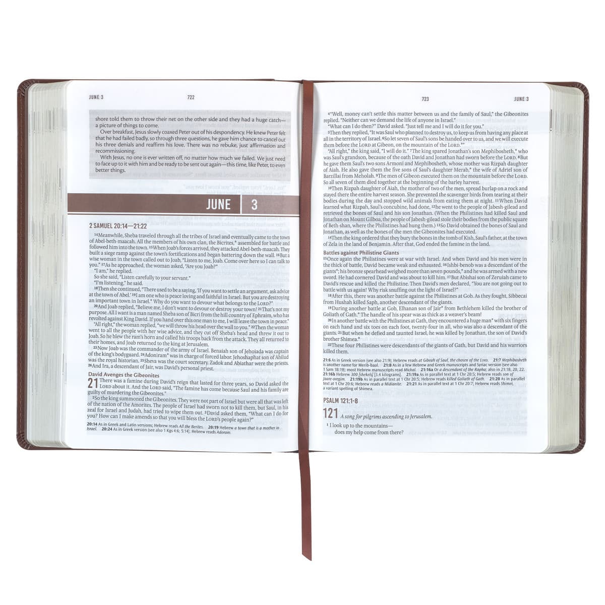 Chestnut Brown Faux Leather NLT Everyday Devotional Bible for Men, picture 4