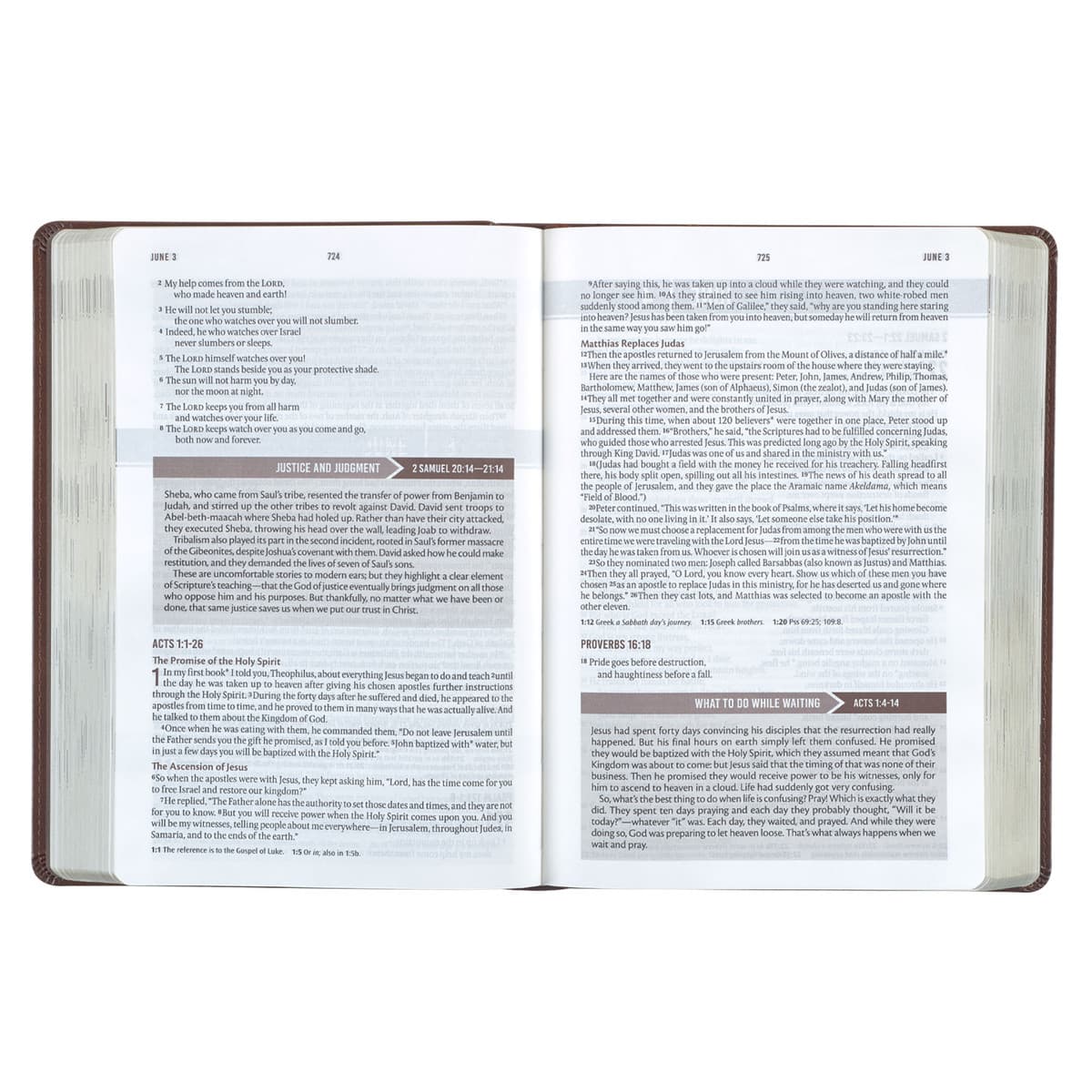 Chestnut Brown Faux Leather NLT Everyday Devotional Bible for Men, picture 5