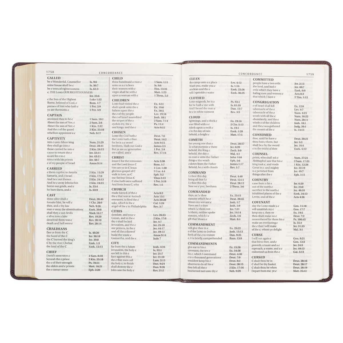Framed Burgundy Faux Leather Super Giant Print King James Version Bible, picture 6