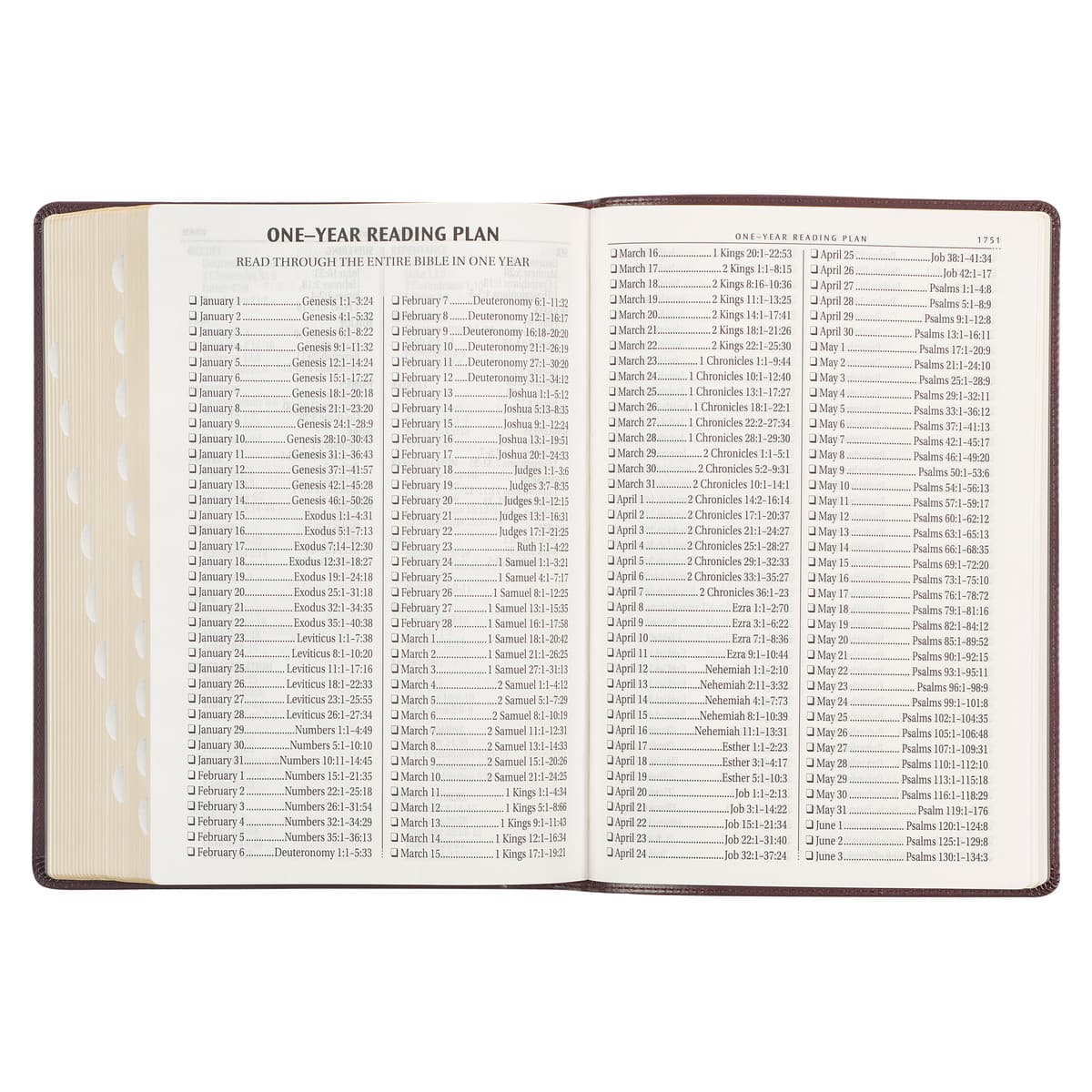 Framed Burgundy Faux Leather Super Giant Print King James Version Bible, picture 7