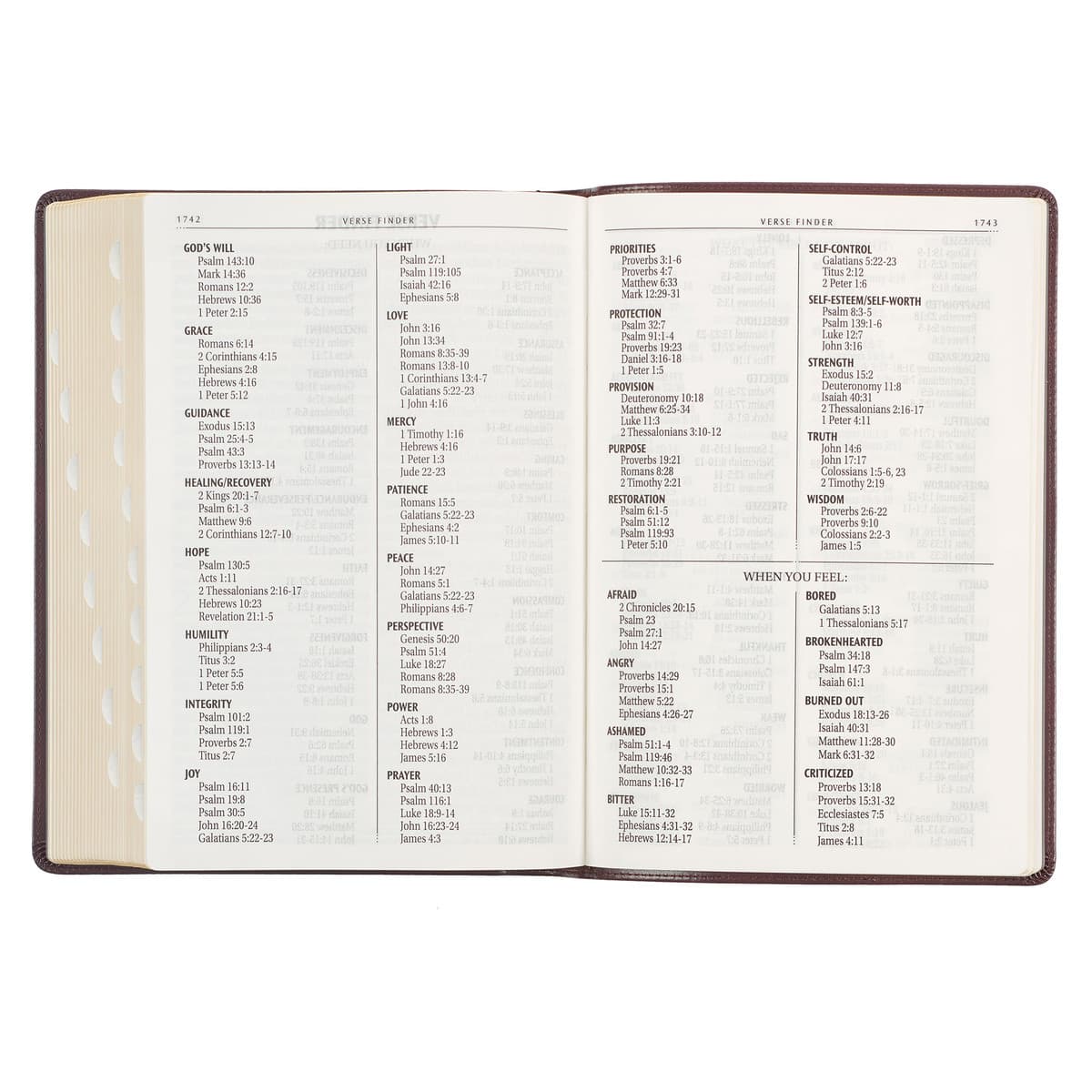 Framed Burgundy Faux Leather Super Giant Print King James Version Bible, picture 8