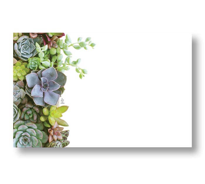 SUCCULENTS GIFT TAG