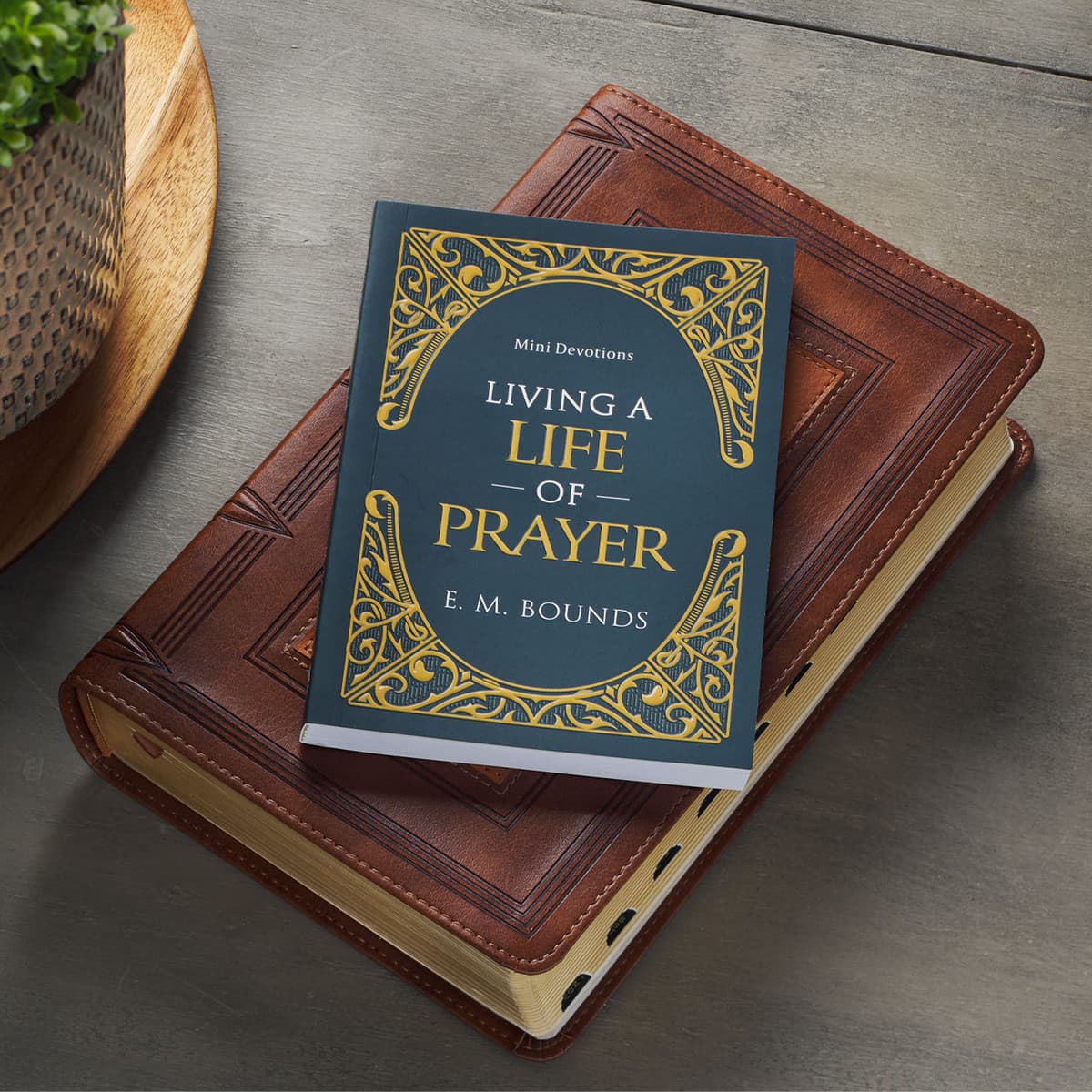 Living A Life of Prayer Mini Devotional, picture 4