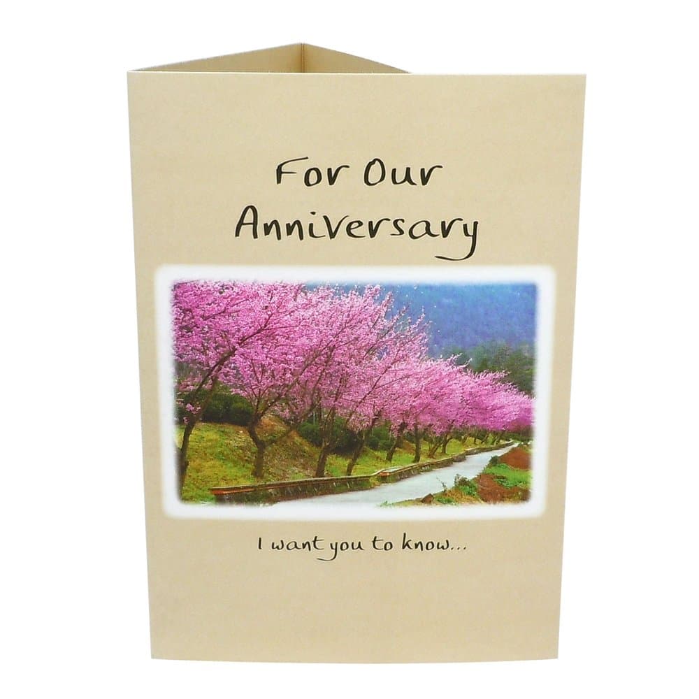 “For Our Anniversary” by Douglas Pagels, picture 3