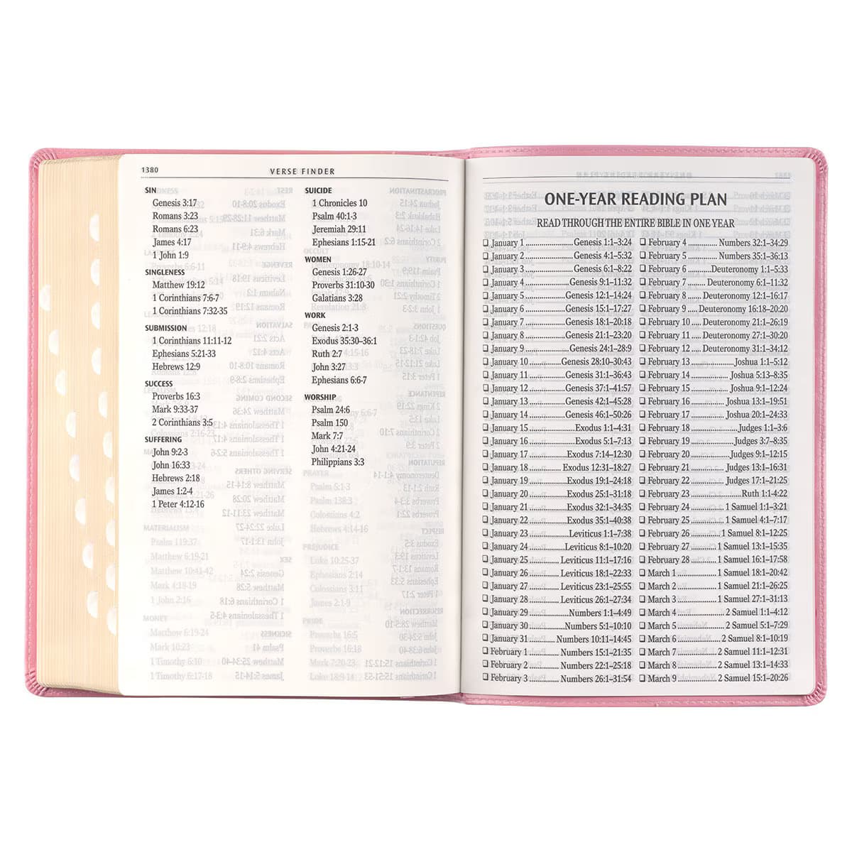 Pink Faux Leather Giant Print Full-size King James Version Bible with Thumb-index, picture 8