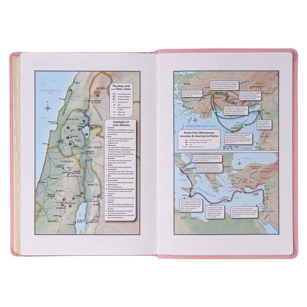 Pink Faux Leather Giant Print Full-size King James Version Bible with Thumb-index, picture 6