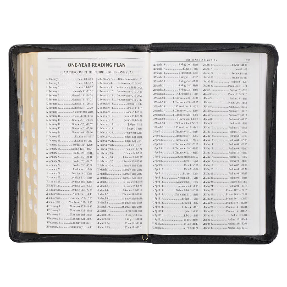 Gray and Black Faux Leather King James Version Deluxe Gift Bible with Thumb Index and Zippered Closure, picture 10