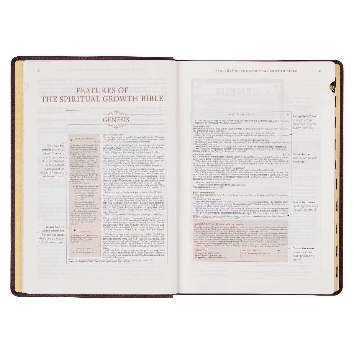 Espresso Brown Faux Leather Spiritual Growth Bible, picture 5