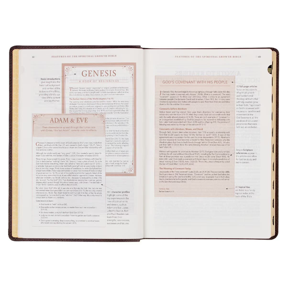 Espresso Brown Faux Leather Spiritual Growth Bible, picture 6