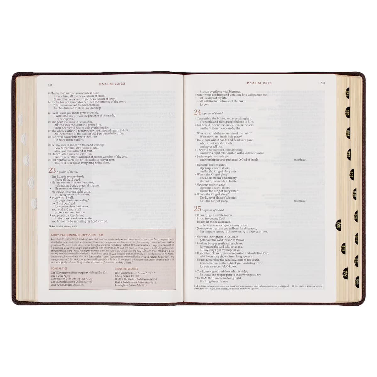 Espresso Brown Faux Leather Spiritual Growth Bible, picture 8
