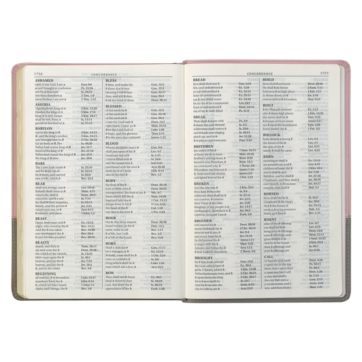 Pink and Gray Faux Leather Super Giant Print Full-size King James Version Bible with Thumb Index, picture 8
