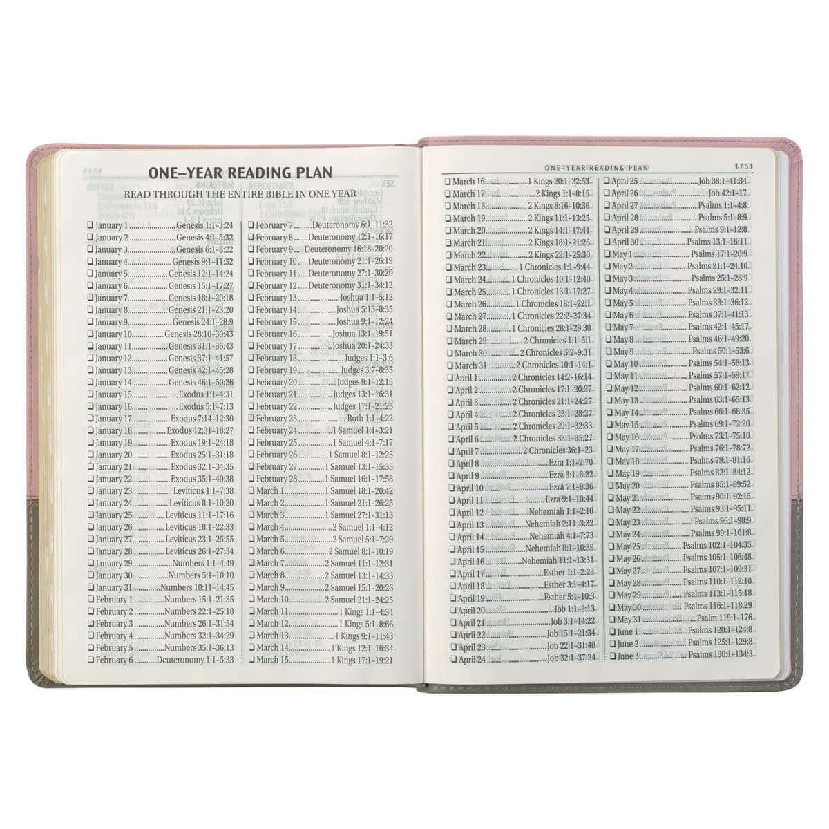 Pink and Gray Faux Leather Super Giant Print Full-size King James Version Bible with Thumb Index, picture 9