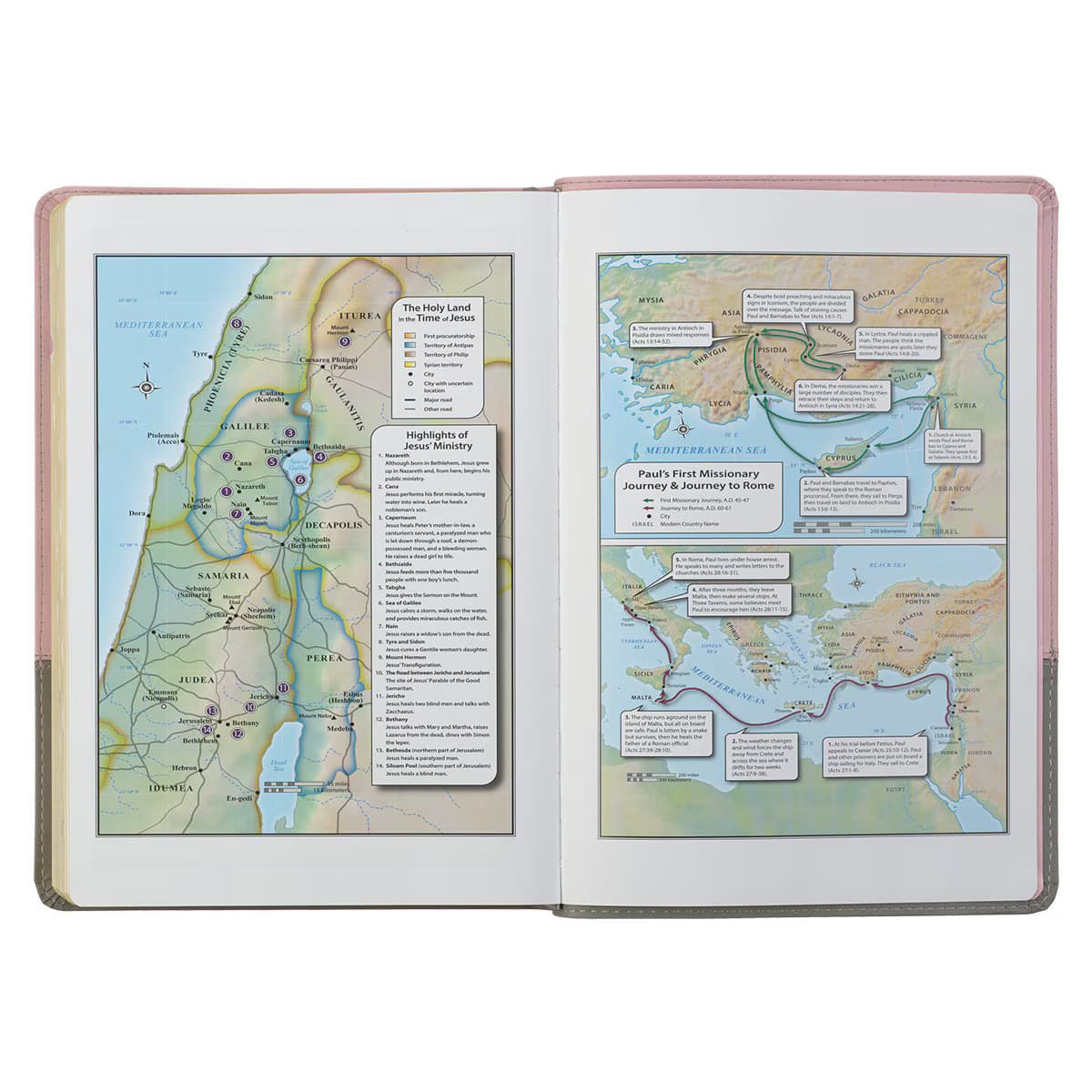 Pink and Gray Faux Leather Super Giant Print Full-size King James Version Bible with Thumb Index, picture 6