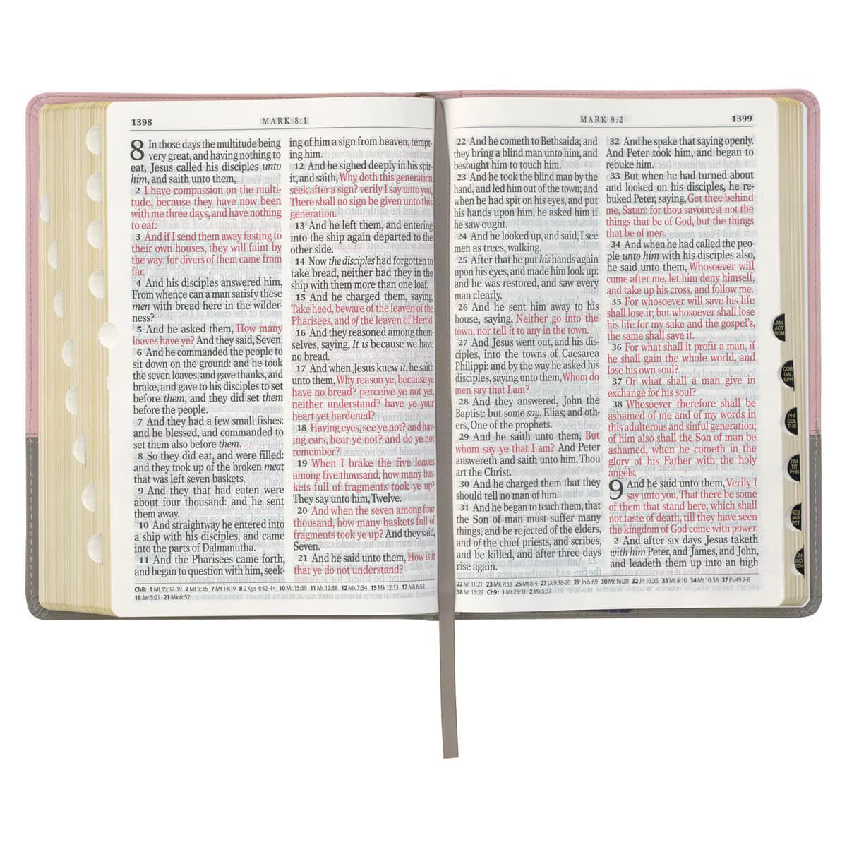 Pink and Gray Faux Leather Super Giant Print Full-size King James Version Bible with Thumb Index, picture 7