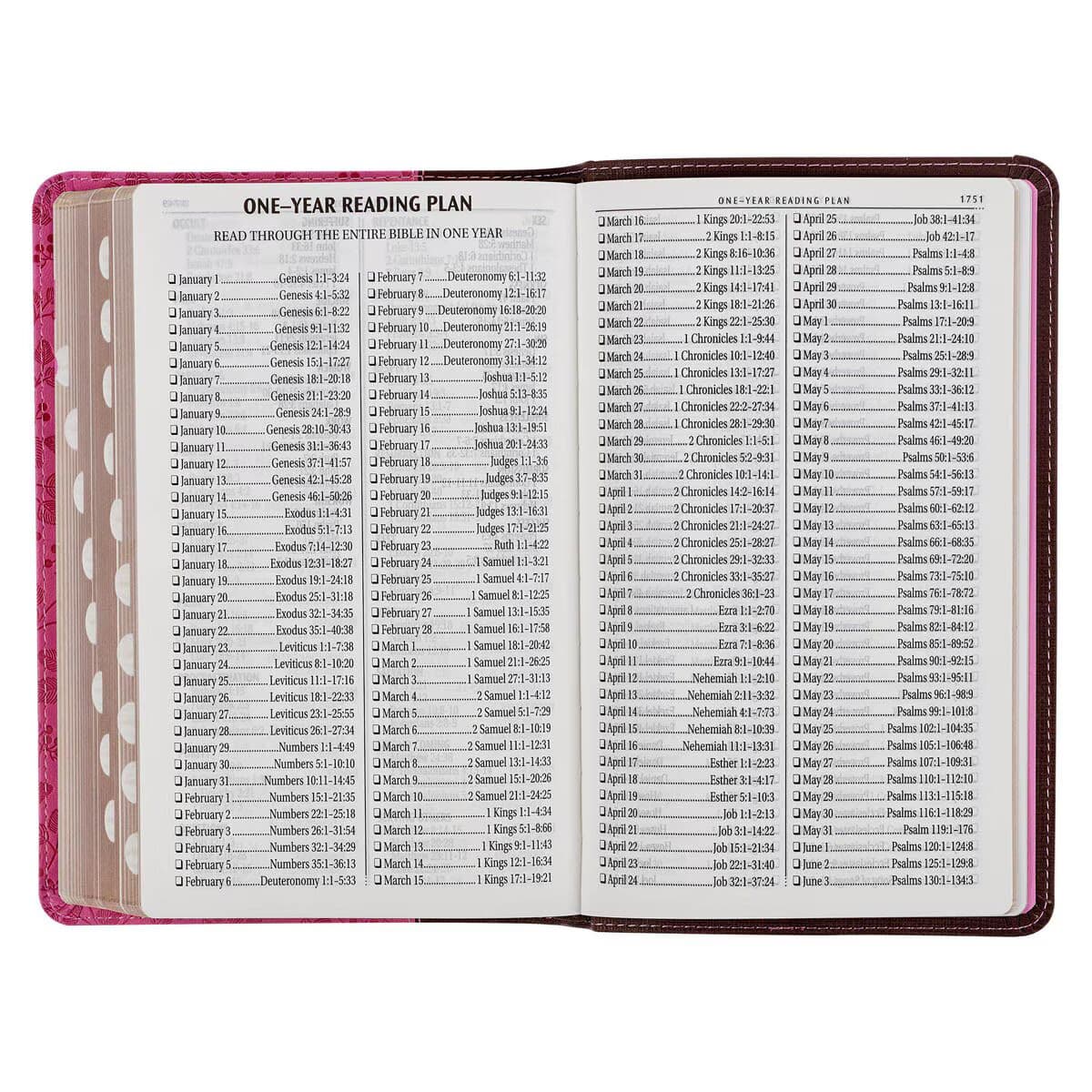 Brown and Berry Pink Faux Leather Giant Print Standard-size King James Version Bible with Thumb Index, picture 9
