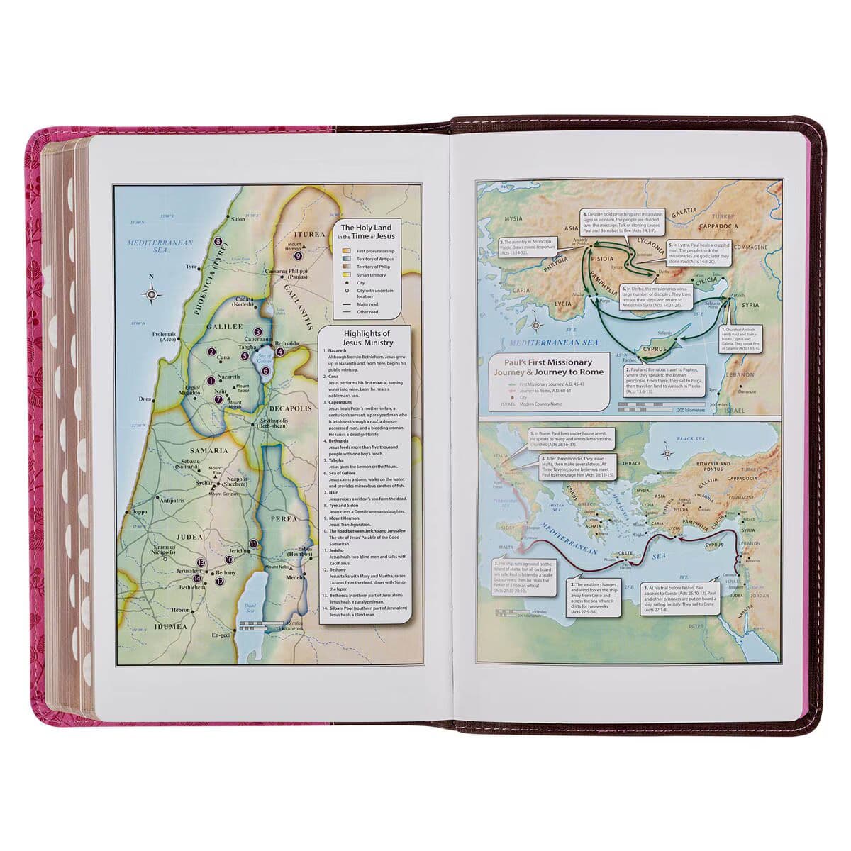 Brown and Berry Pink Faux Leather Giant Print Standard-size King James Version Bible with Thumb Index, picture 6