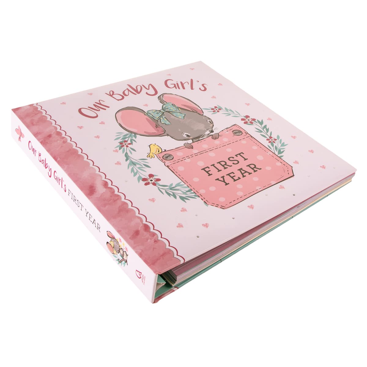 Our Baby Girl's First Year (Padded Hardcover), picture 3