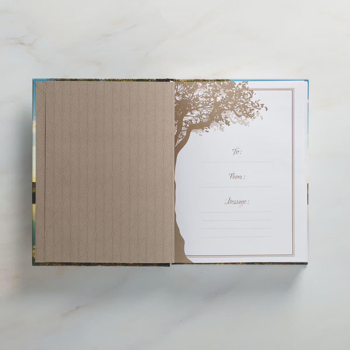 Rooted in Faith Hardcover Devotional, picture 4