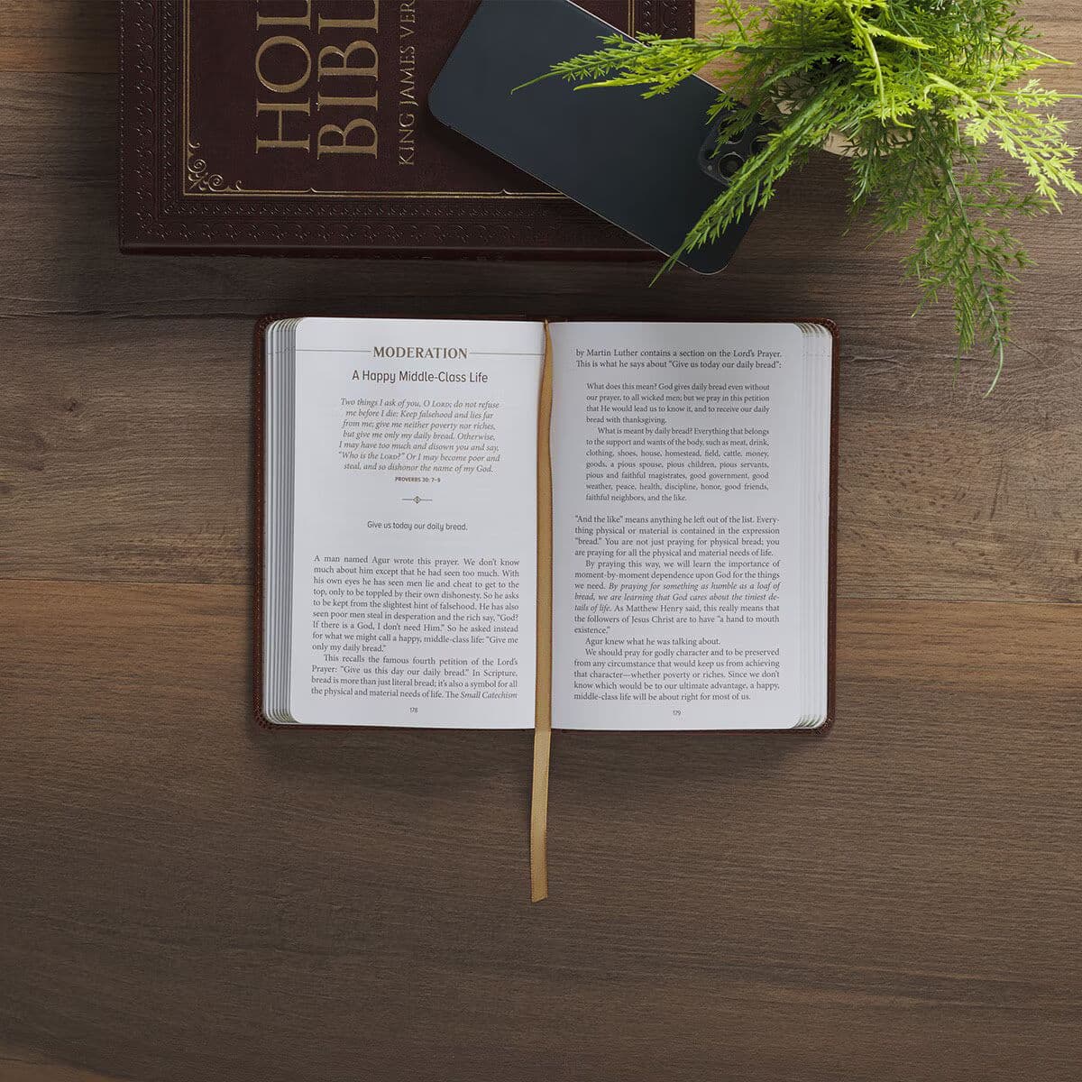 Finding Wisdom in Proverbs Honey-Brown Faux Leather Devotional Gift Book, picture 5
