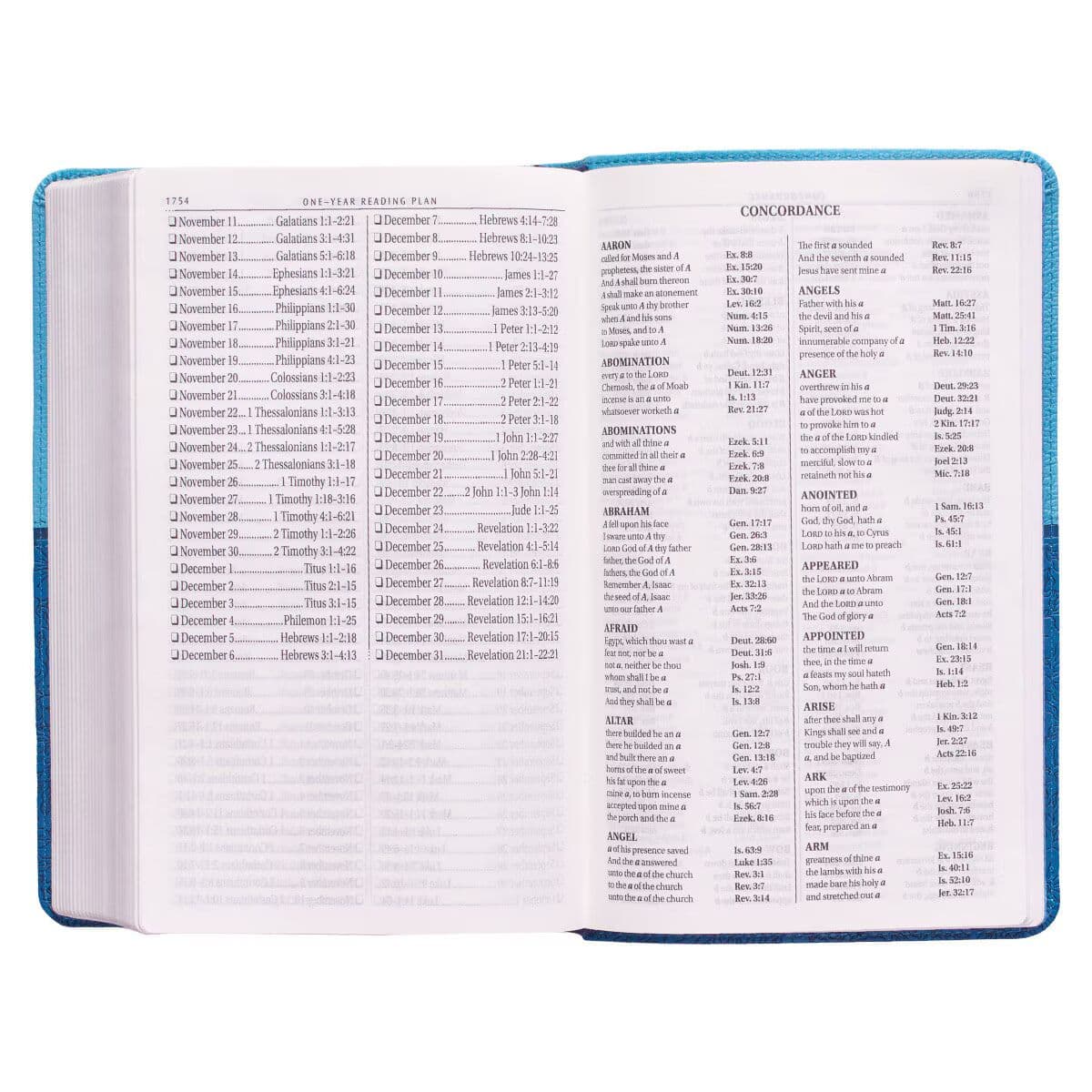 Blue Two-tone Faux Leather Giant Print Standard-size King James Version Bible, picture 8