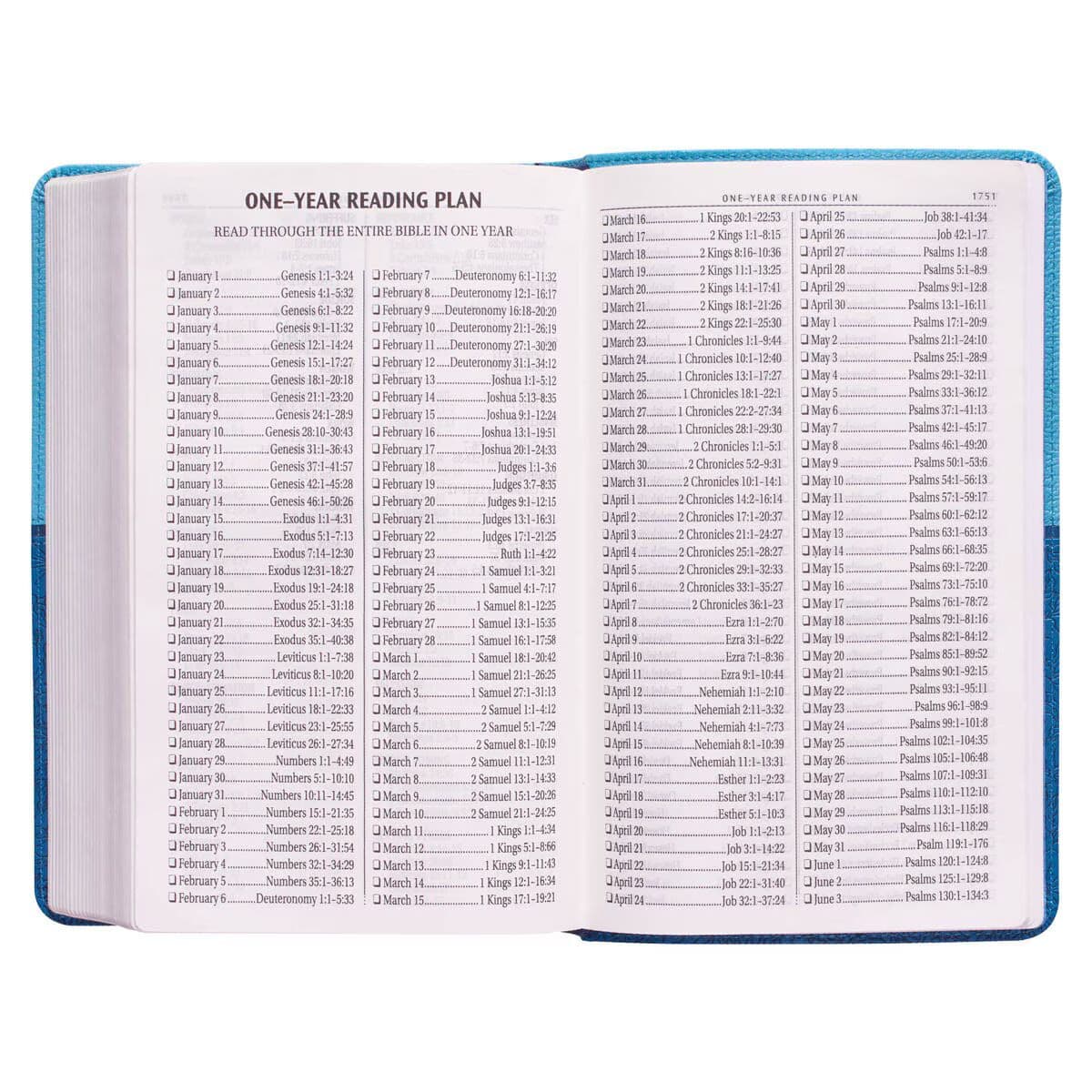 Blue Two-tone Faux Leather Giant Print Standard-size King James Version Bible, picture 9