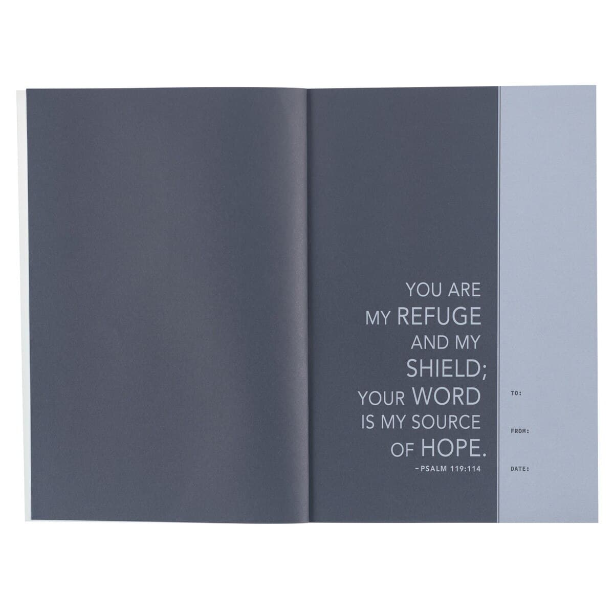 Blue Mountain Softcover NLT Everyday Devotional Bible for Men, picture 3