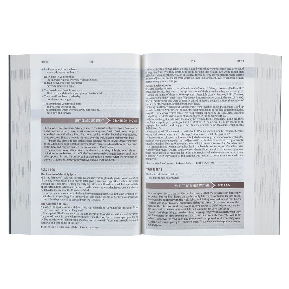 Blue Mountain Softcover NLT Everyday Devotional Bible for Men, picture 5