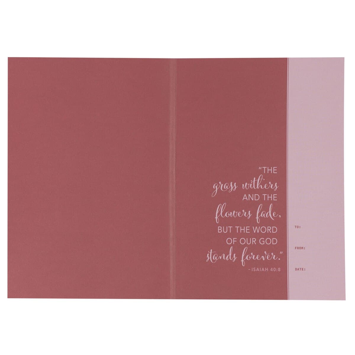 Pink Lily NLT Everyday Devotional Bible for Women, picture 3