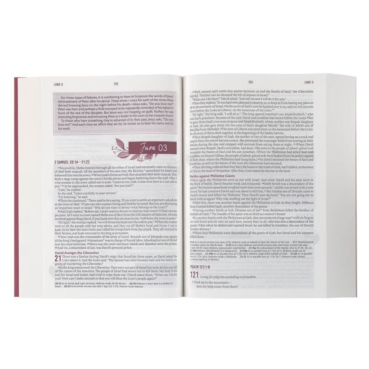 Pink Lily NLT Everyday Devotional Bible for Women, picture 4