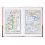 Pink and Brown Large Print Faux Leather Thinline King James Version Bible, picture 6