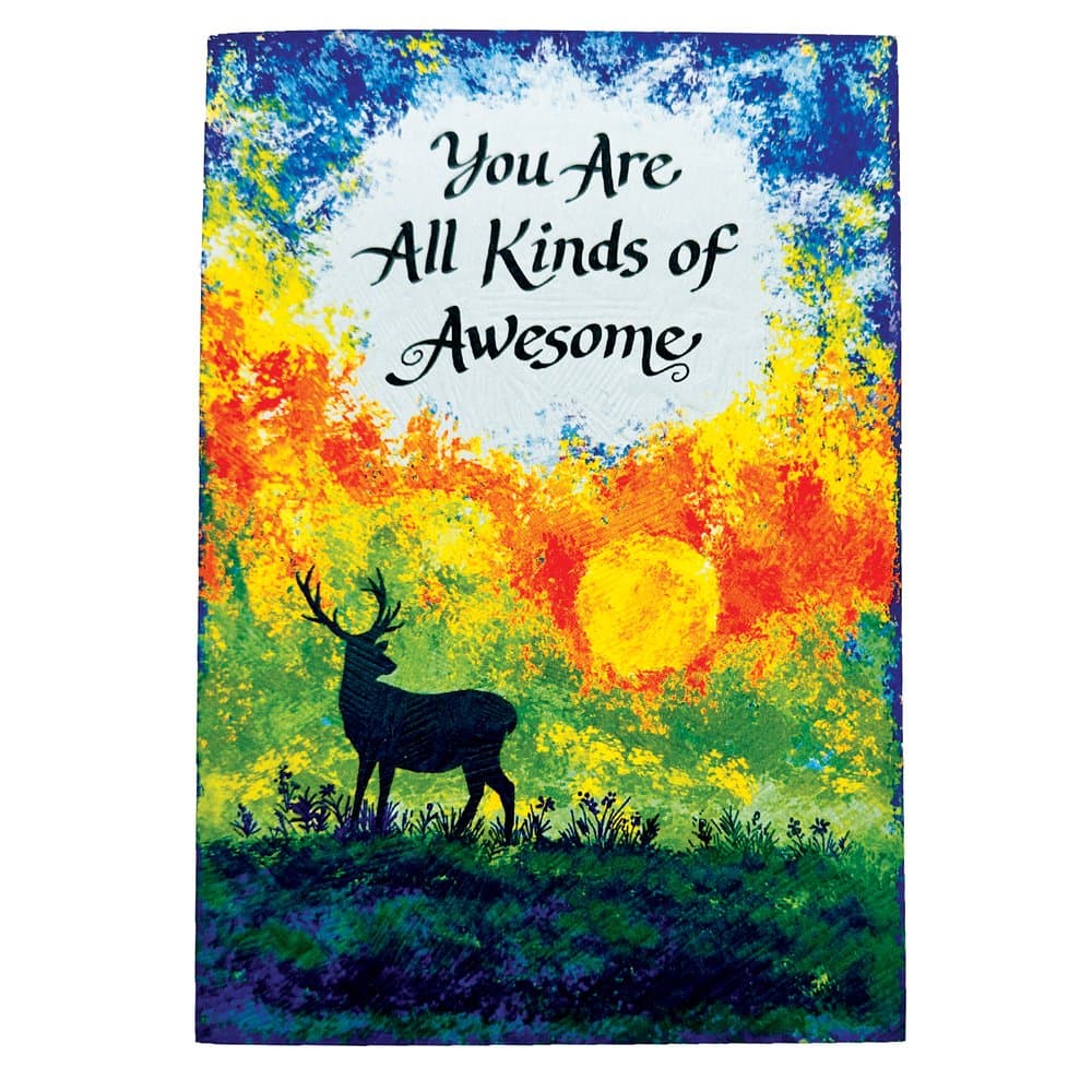 “You Are All Kinds of Awesome”, picture 2