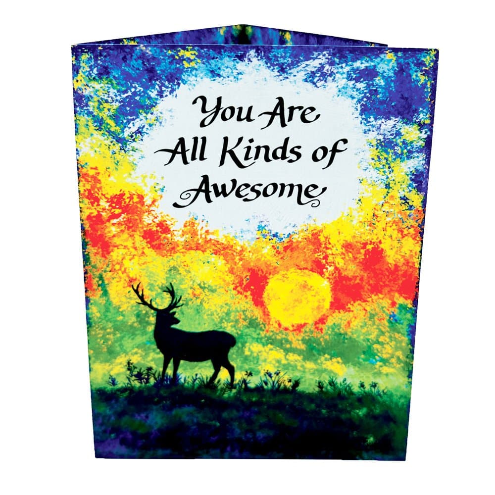 “You Are All Kinds of Awesome”, picture 3