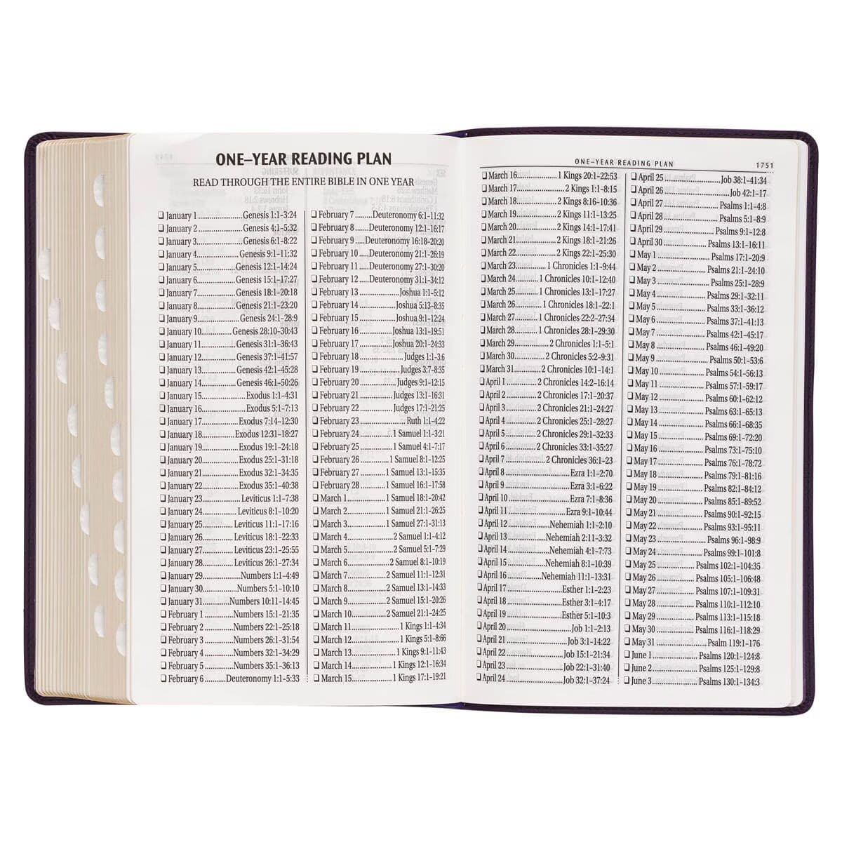 Purple Floral Faux Leather Giant Print Standard-size King James Version Bible with Thumb Index, picture 9