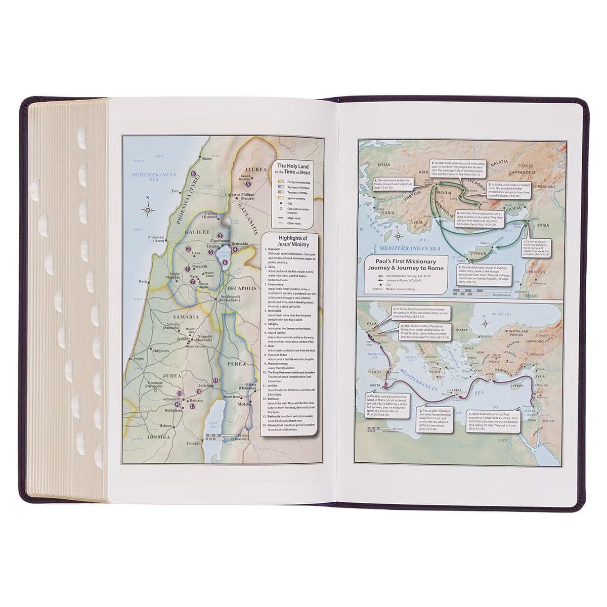 Purple Floral Faux Leather Giant Print Standard-size King James Version Bible with Thumb Index, picture 6