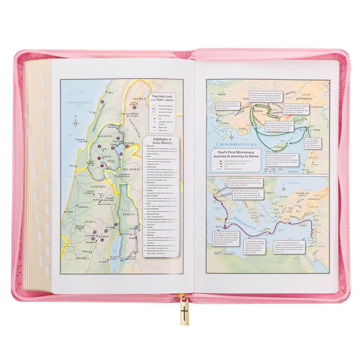 Blossom Pink Faux Leather King James Version Deluxe Gift Bible with Thumb Index and Zippered Closure, picture 5