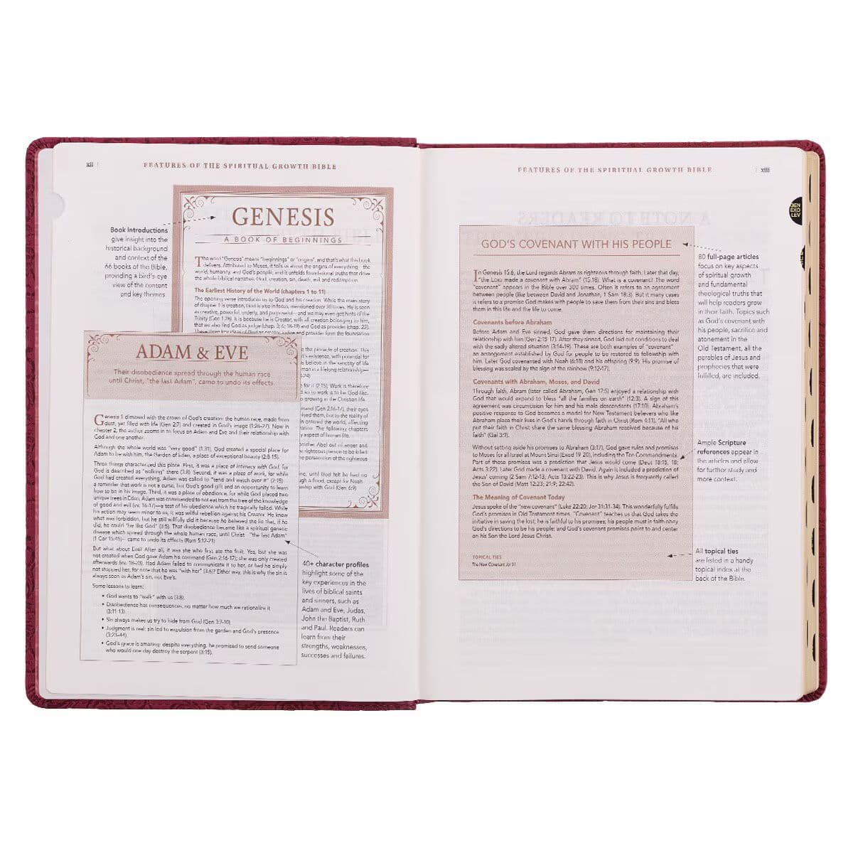 Berry Faux Leather Spiritual Growth Bible, picture 8