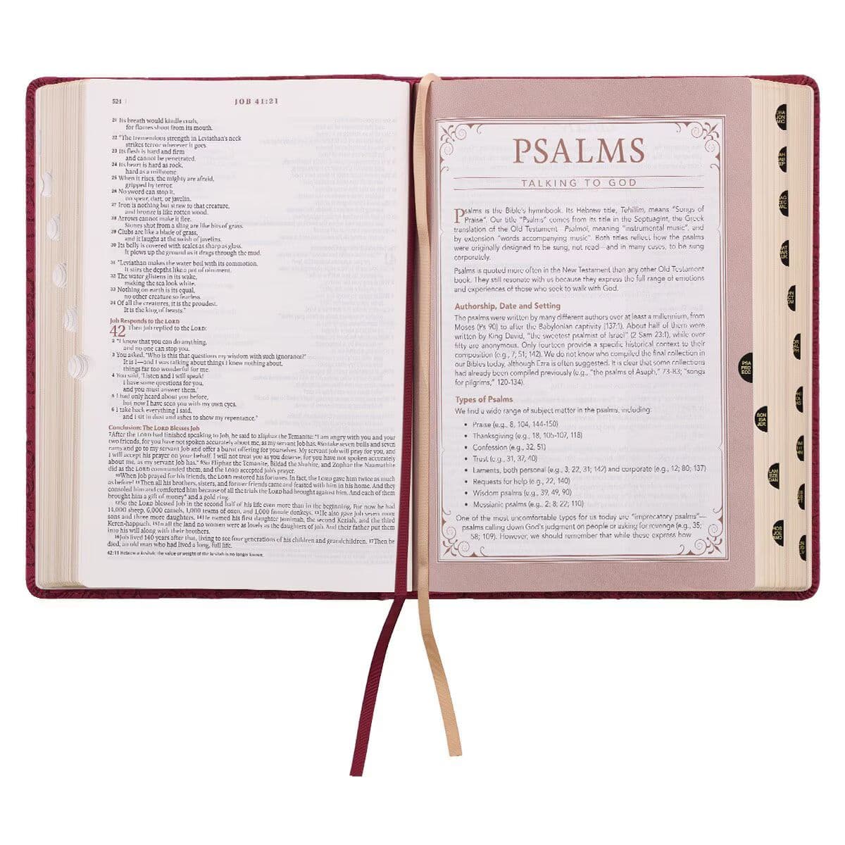 Berry Faux Leather Spiritual Growth Bible, picture 9