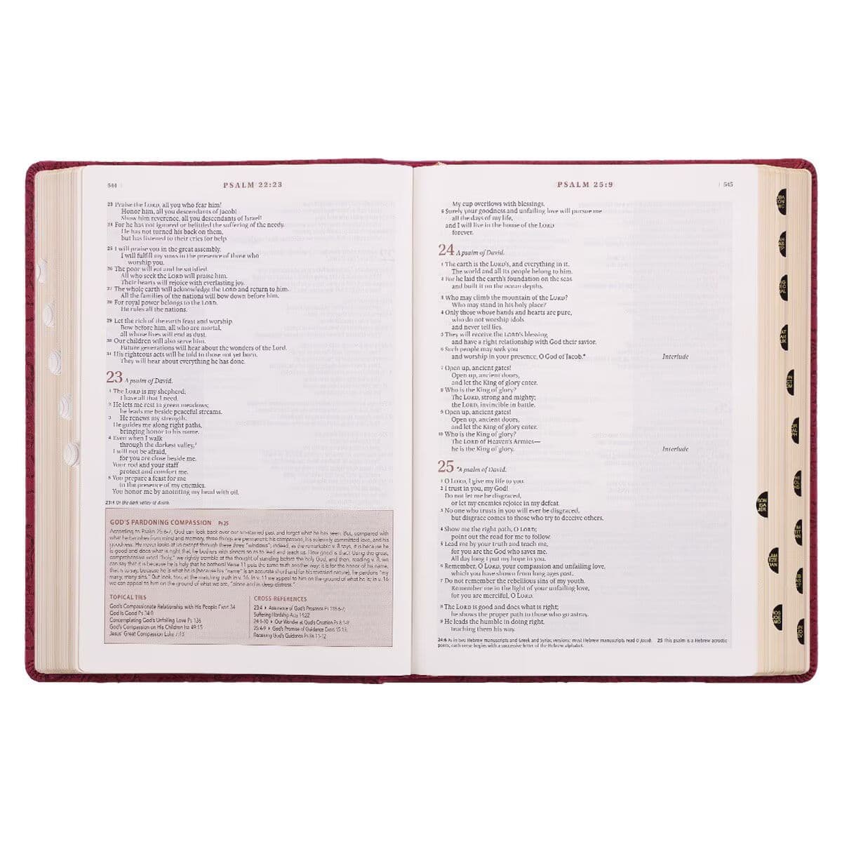 Berry Faux Leather Spiritual Growth Bible, picture 10