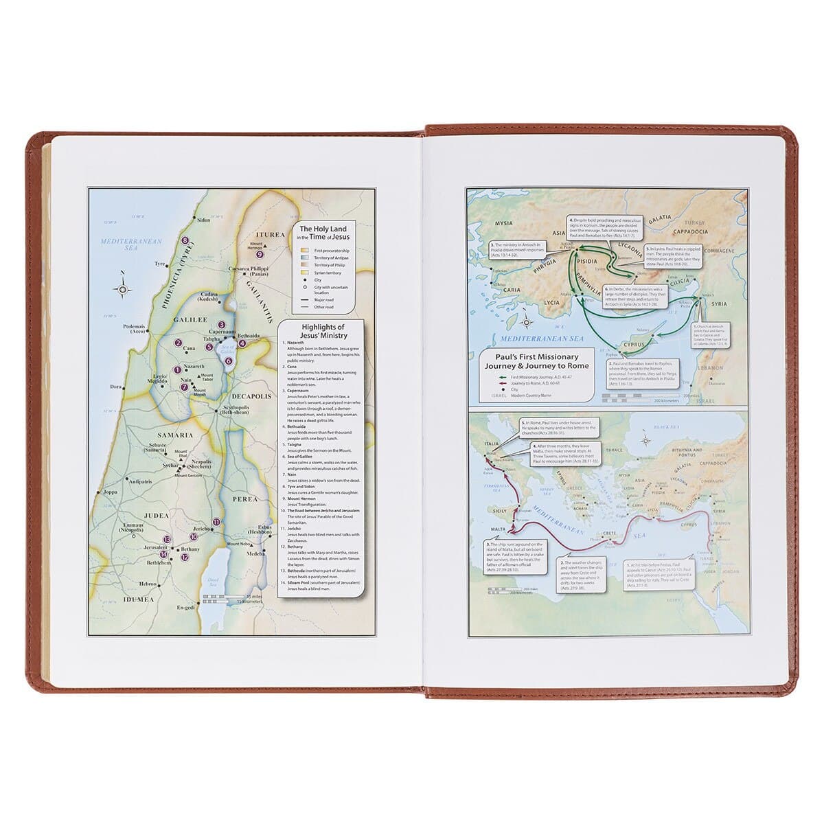Saddle Tan Faux Leather Large Print Thinline King James Version Bible with Thumb Index, picture 7