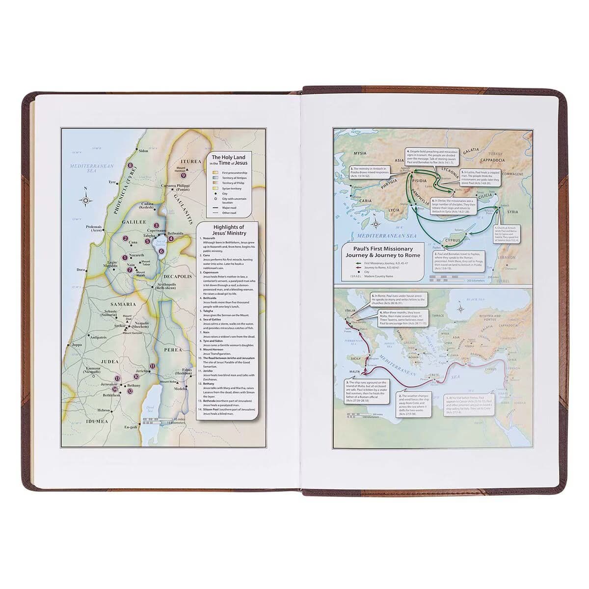 Two-tone Brown Faux Leather Large Print Thinline King James Version Bible, picture 9