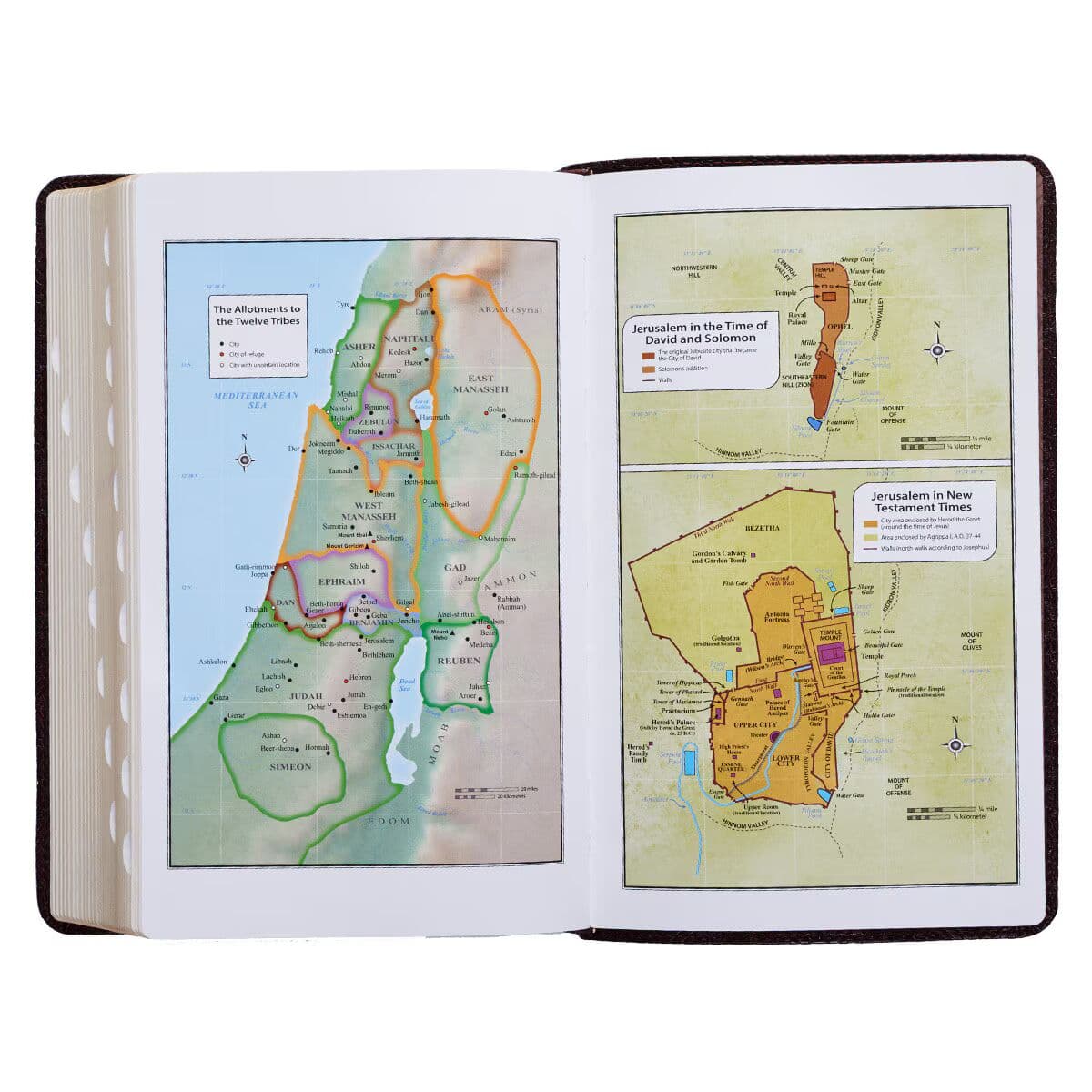 Dark Brown Faux Leather Giant Print Standard-size King James Version Bible with Thumb Index, picture 11