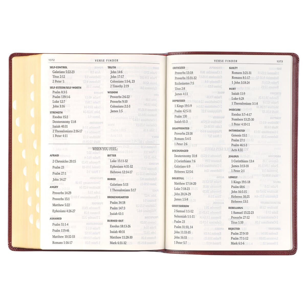 Burgundy Faux Leather Full-size Giant Print King James Version Bible with Thumb Index, picture 9