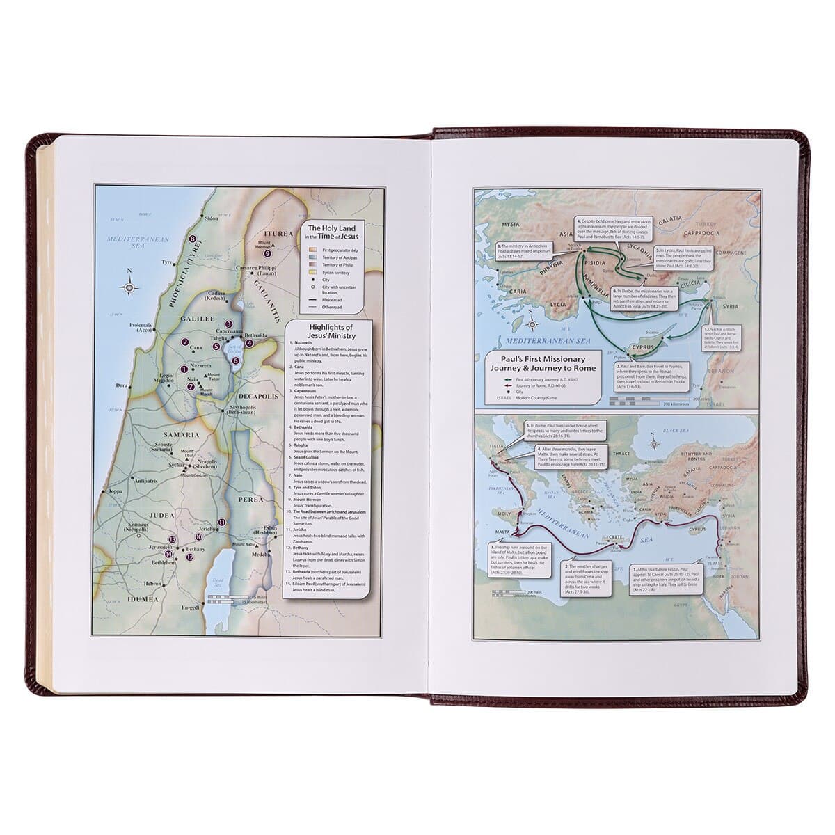 Burgundy Faux Leather Full-size Giant Print King James Version Bible with Thumb Index, picture 6