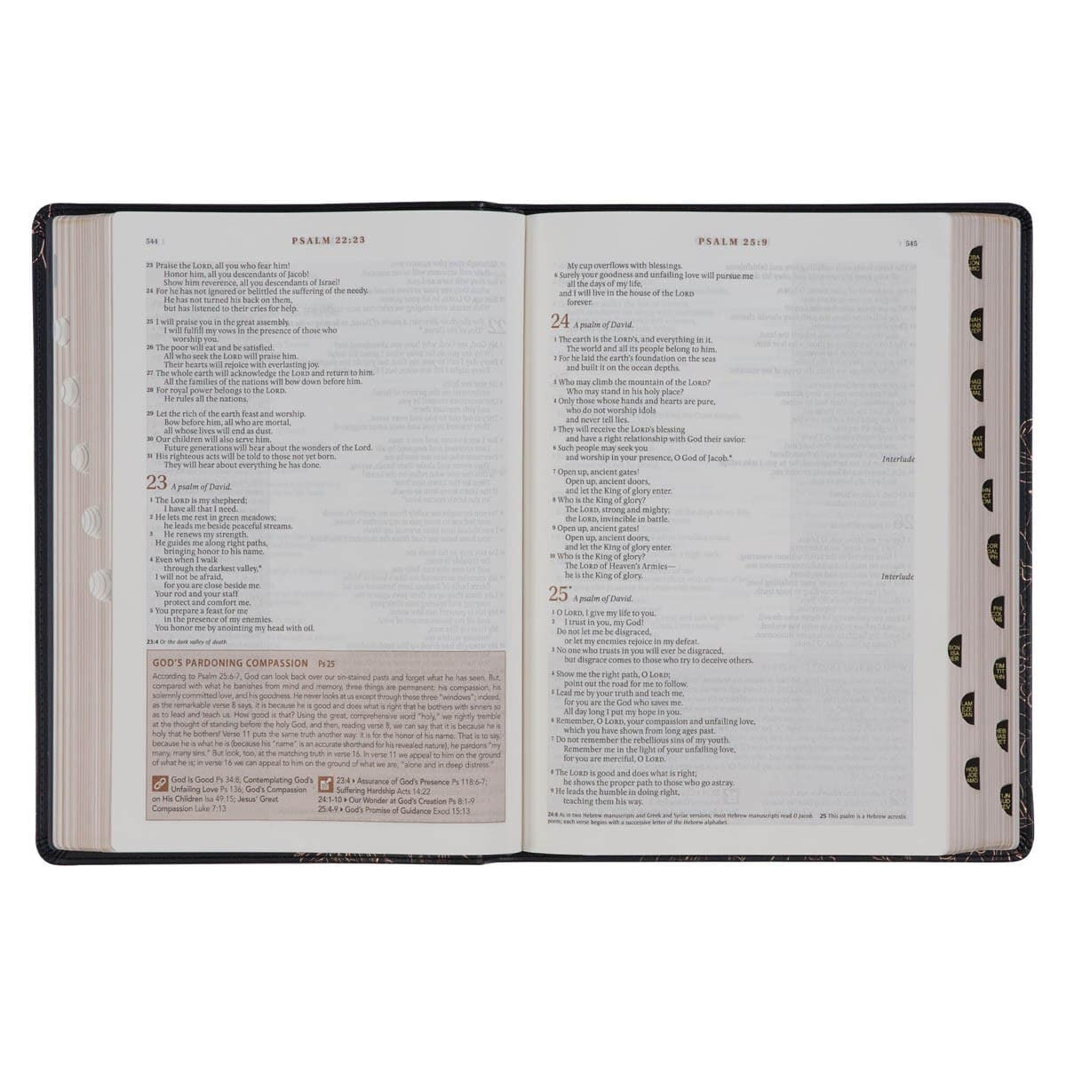 Midnight Blue Faux Leather Spiritual Growth Bible, picture 8