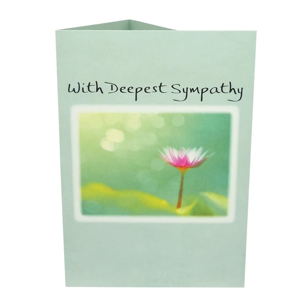 “With Deepest Sympathy” by Douglas Pagels, picture 3