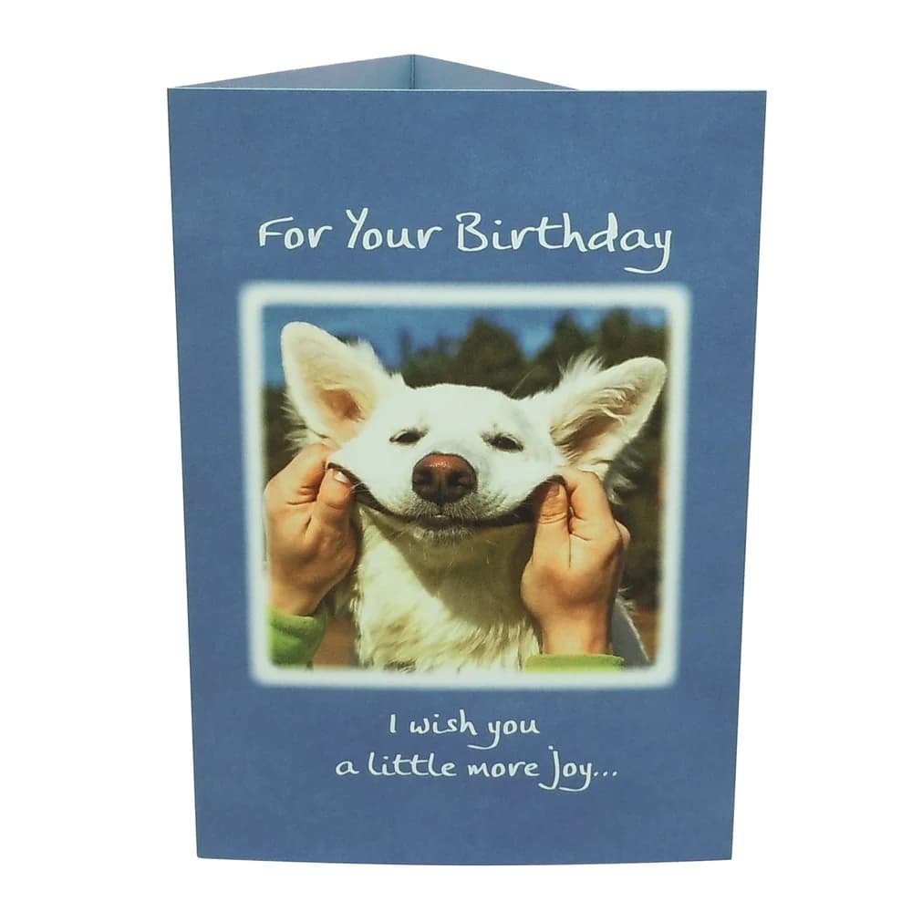 "For Your Birthday", picture 2