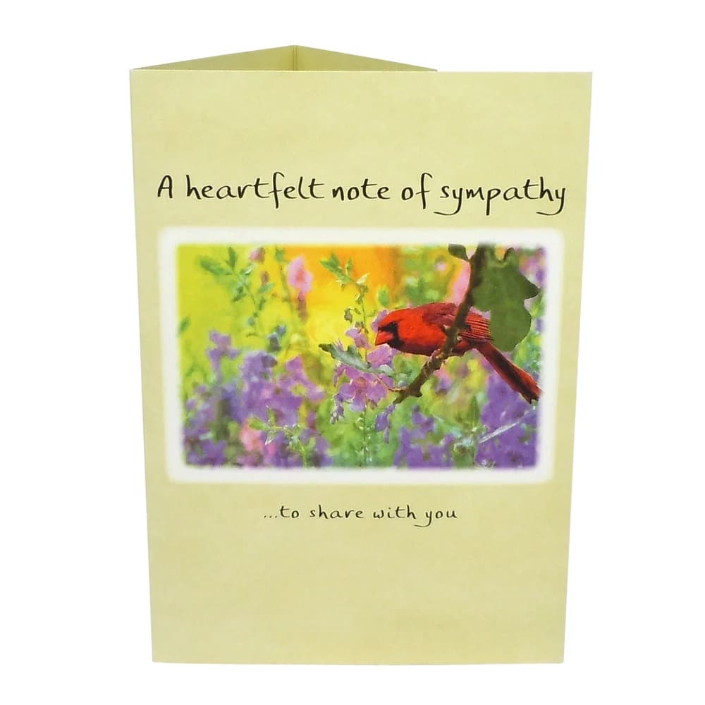 “A heartfelt note of sympathy” by Douglas Pagels, picture 3