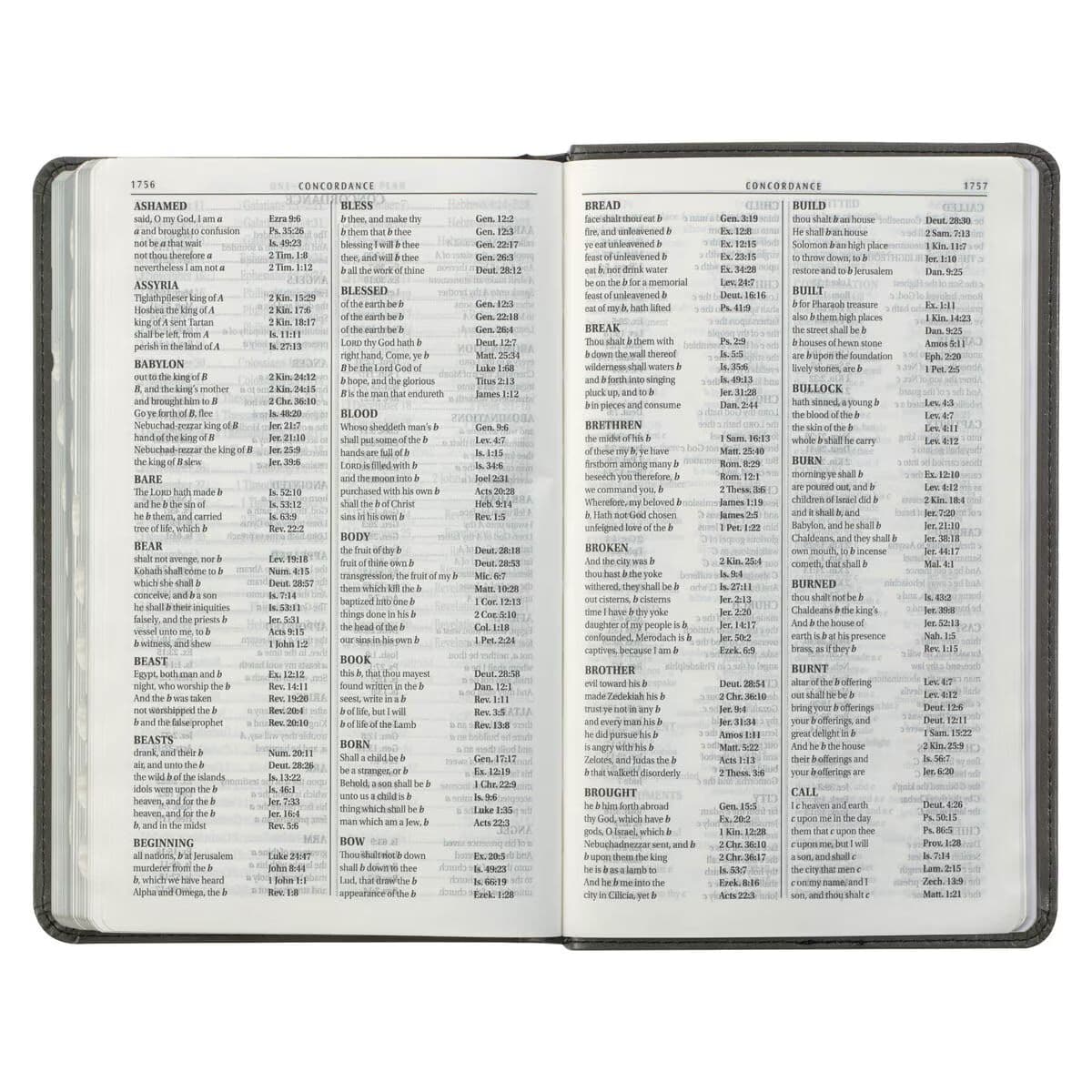 Gray and Black Faux Leather Giant Print Standard-size King James Version Bible with Thumb Index, picture 8