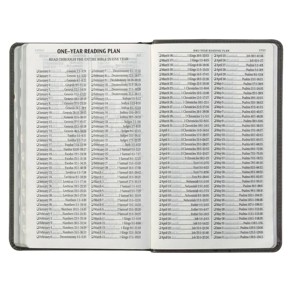 Gray and Black Faux Leather Giant Print Standard-size King James Version Bible with Thumb Index, picture 9