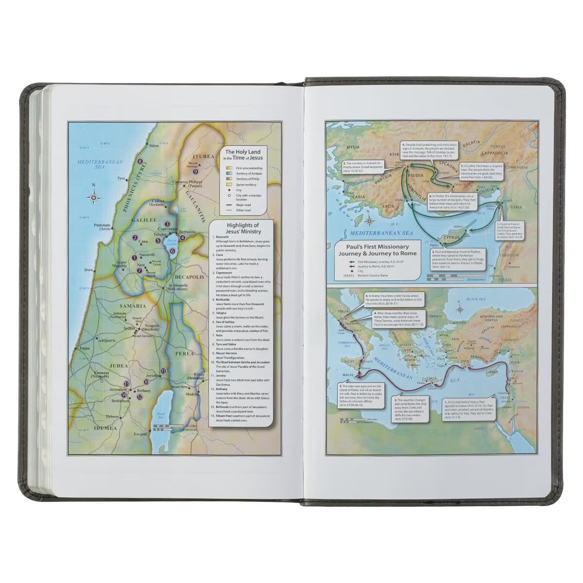 Gray and Black Faux Leather Giant Print Standard-size King James Version Bible with Thumb Index, picture 6